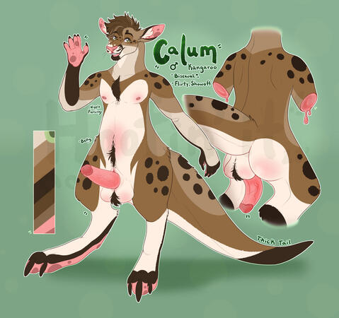 NSFW Reference Sheet